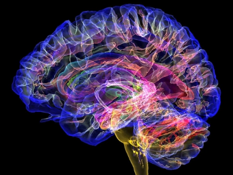 3P内射大脑植入物有助于严重头部损伤恢复
